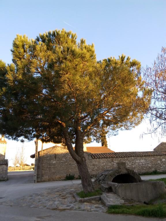 Pension El Abuelo Carbellino Kültér fotó