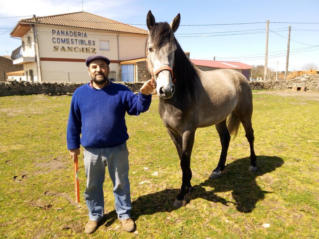 Pension El Abuelo Carbellino Kültér fotó
